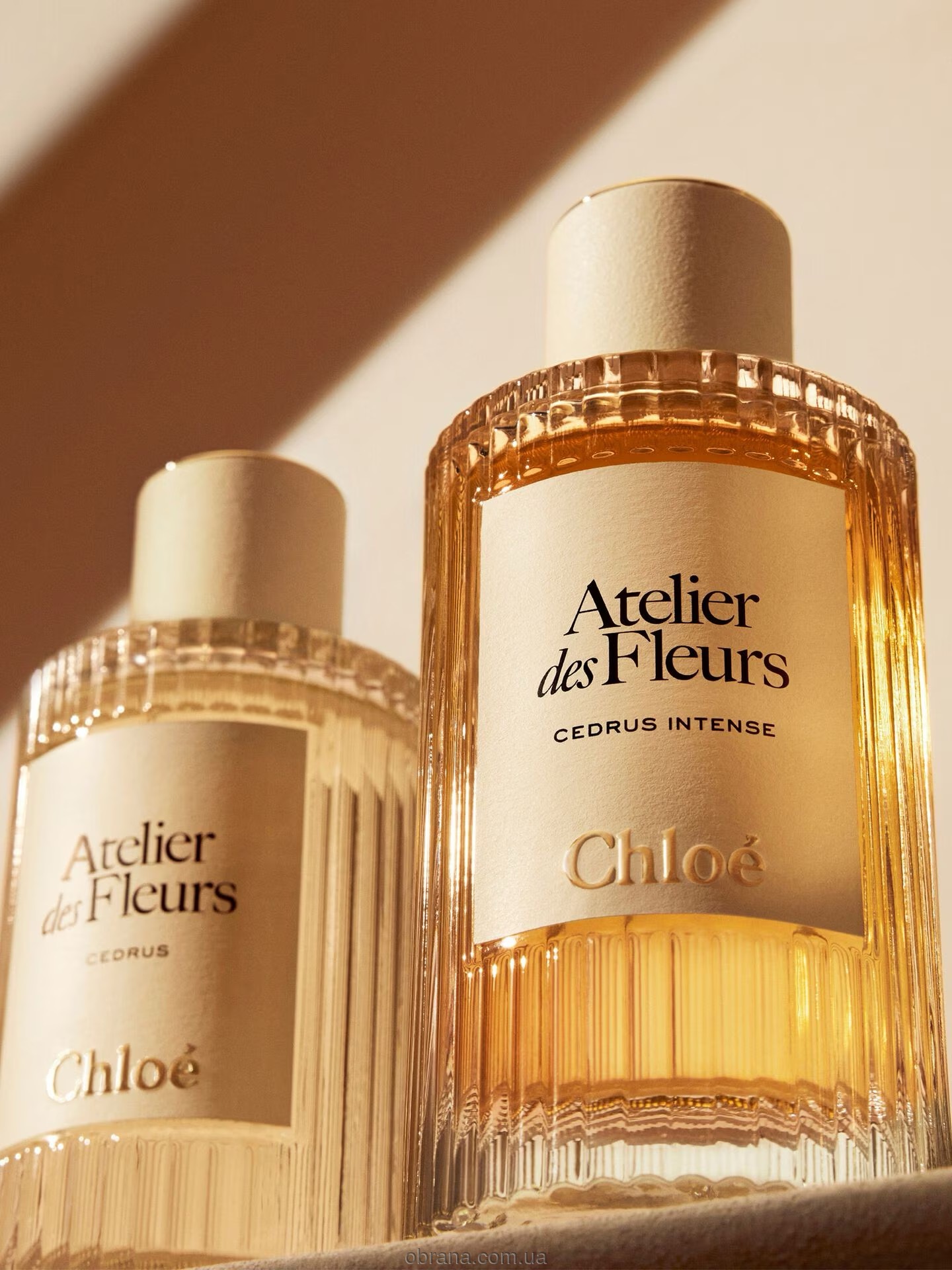 Atelier Des Fleurs Cedrus Intense Chloe image 0