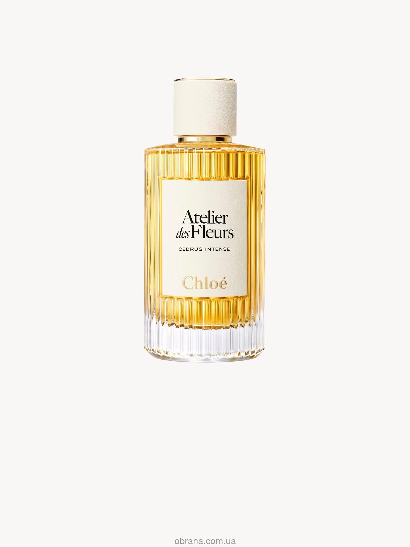 Atelier Des Fleurs Cedrus Intense Chloe image 0
