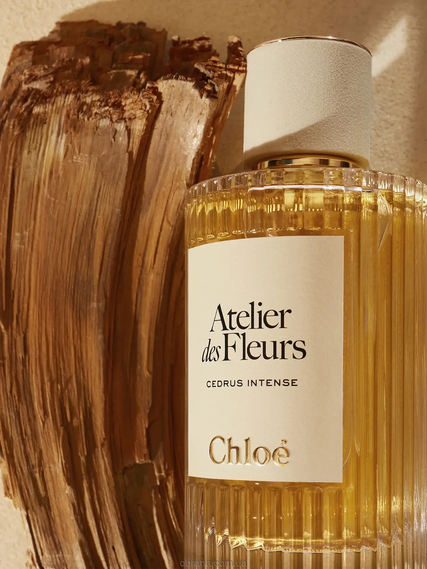 Atelier Des Fleurs Cedrus Intense Chloe