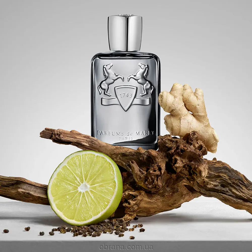 Castley Parfums de Marly