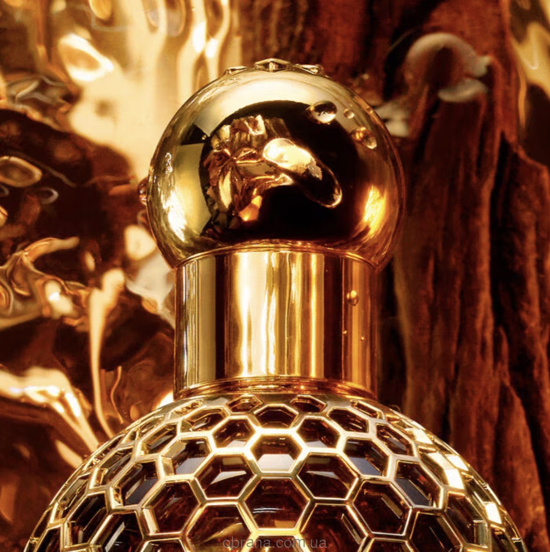 Absolus Allegoria Cuir Intense Guerlain image 0