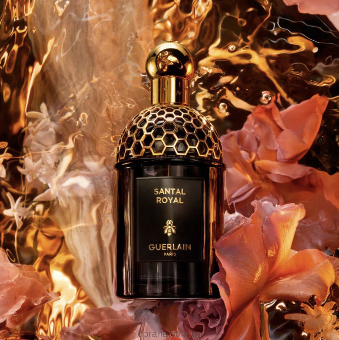 Absolus Allegoria Santal Royal Guerlain image 0