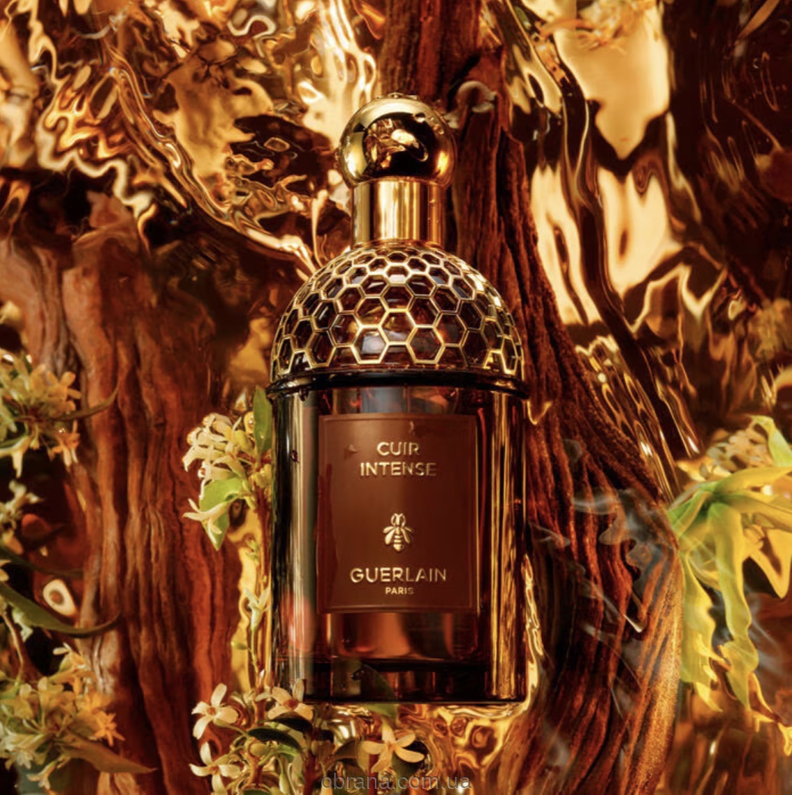 Absolus Allegoria Cuir Intense Guerlain image 0
