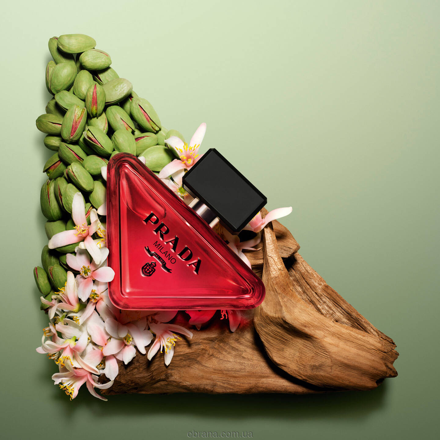 Paradoxe Radical Essence Prada image 0