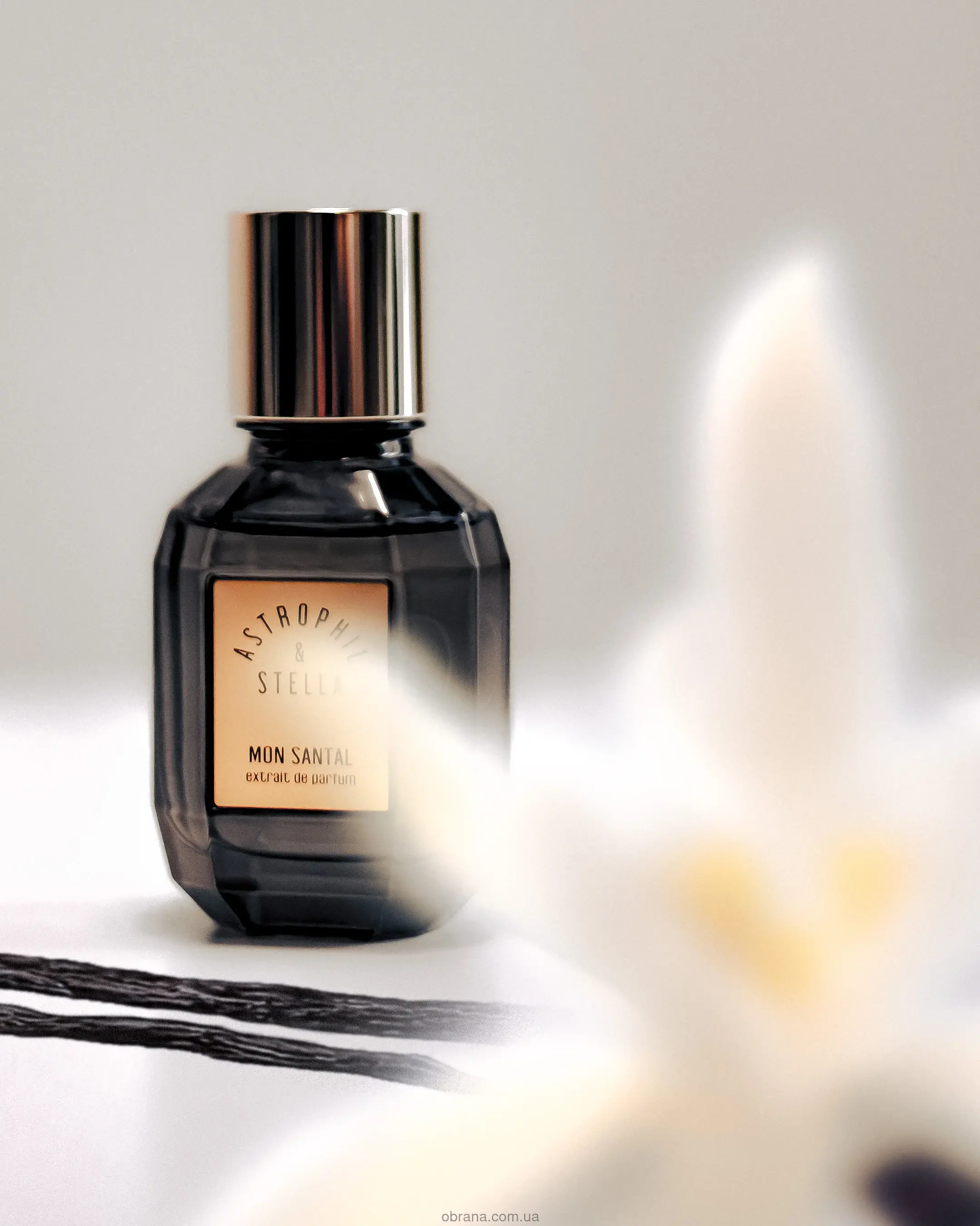 Mon Santal Astrophil and Stella