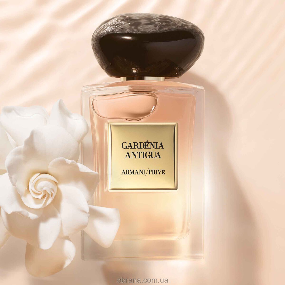 Armani Prive Gardénia Antigua Giorgio Armani