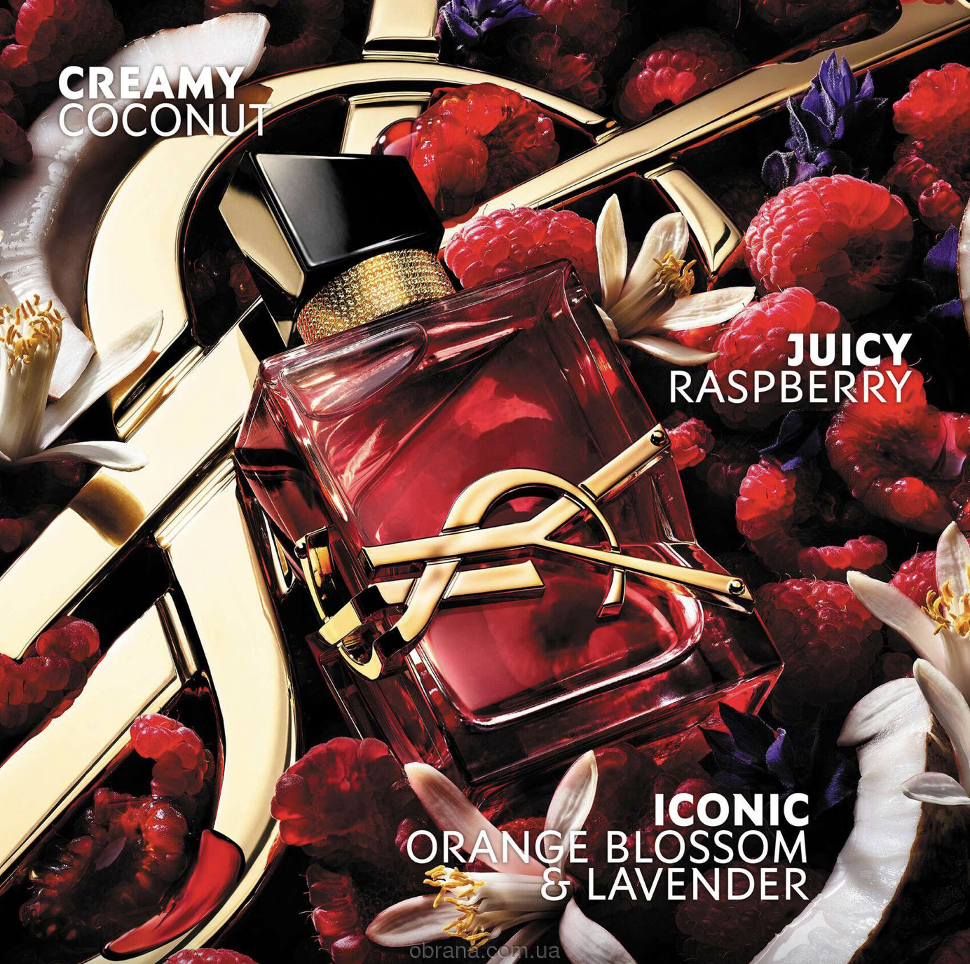 Libre Berry Crush Yves Saint Laurent image 0
