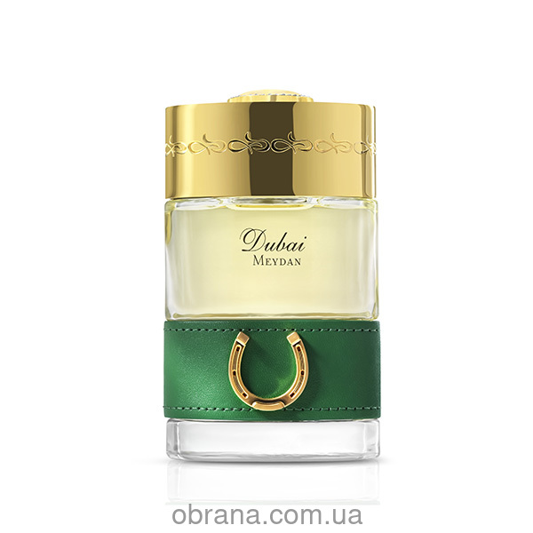 Meydan The Spirit of Dubai image 0